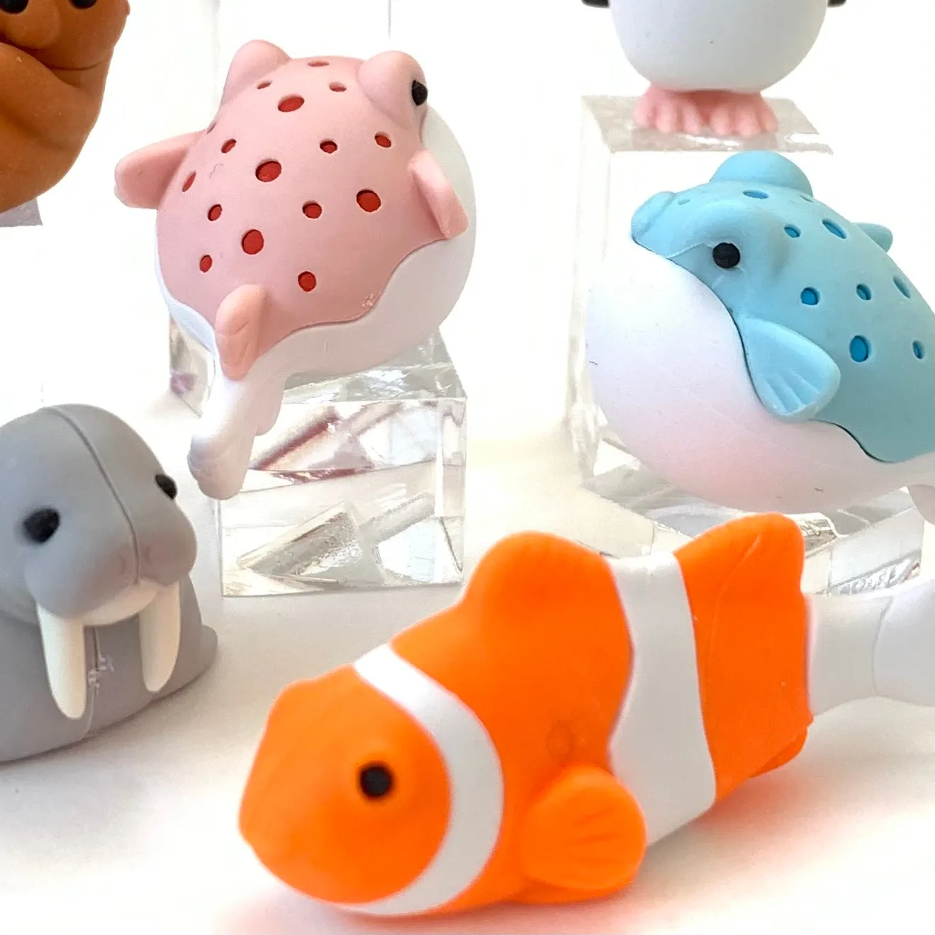 380161 SEA FRIENDS ERASERS -30