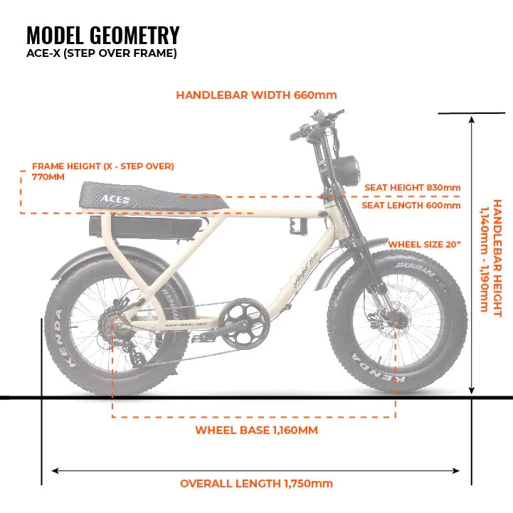 Ampd Bros ACE Rally Plus  Edition Electric Bike