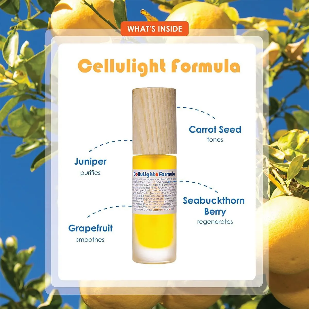 Cellulite Formula