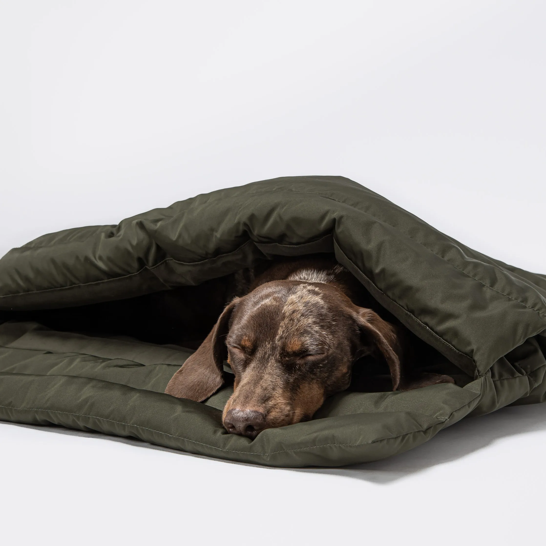 Cloud7: Dog Sleeping Bag, Vancouver Olive