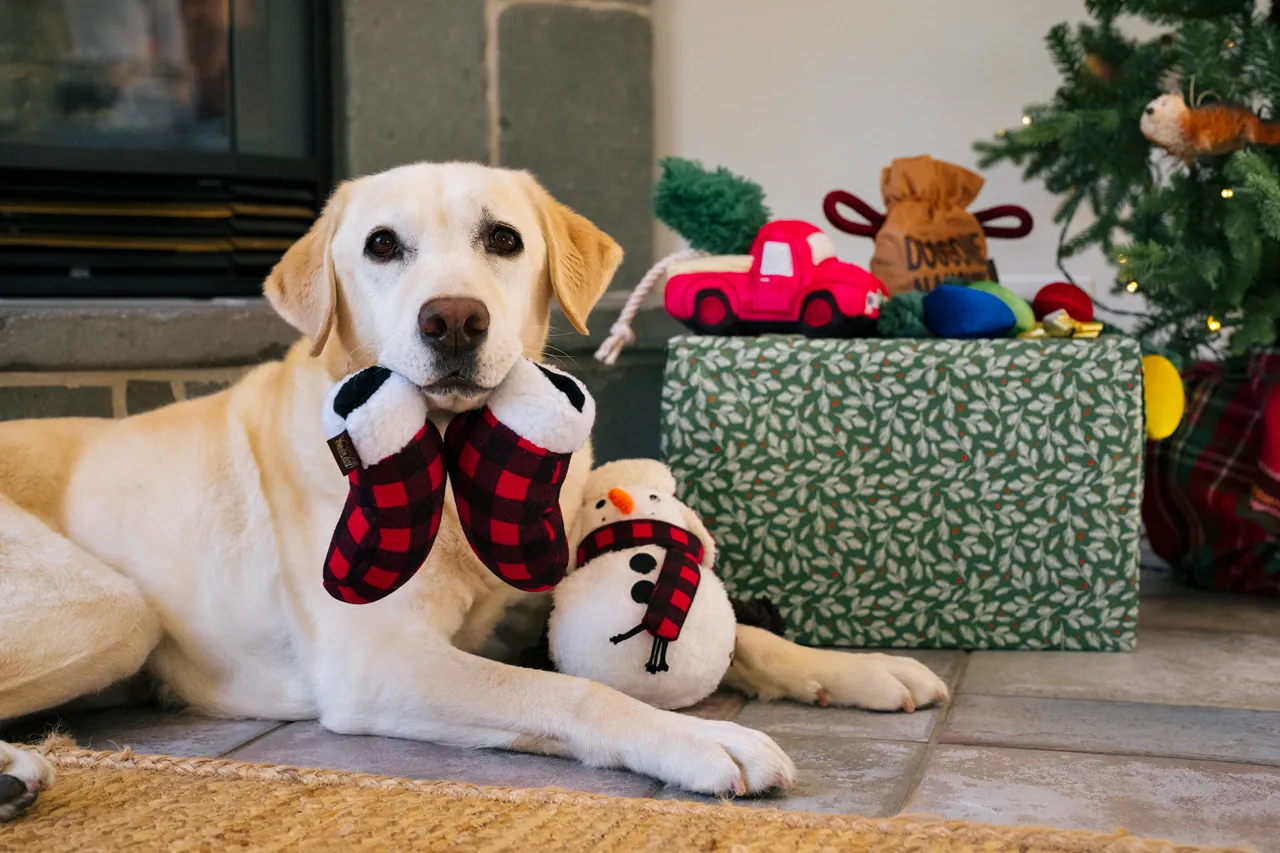 P.L.A.Y. Home for the Holidays Interactive Dog Toy, Mittens