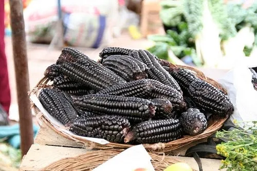 RARE  (NATIVE AMERICAN) Heirloom Organic Black Aztec Corn Seeds (Black Mexican Corn) Seeds