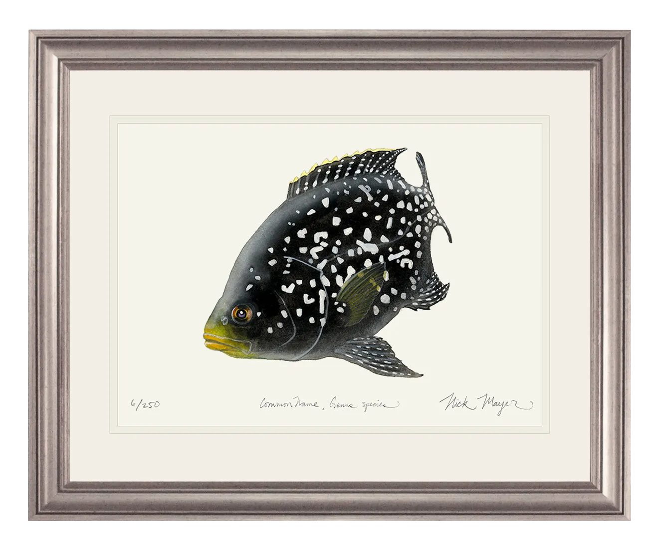 Starry Night Cichlid II Print