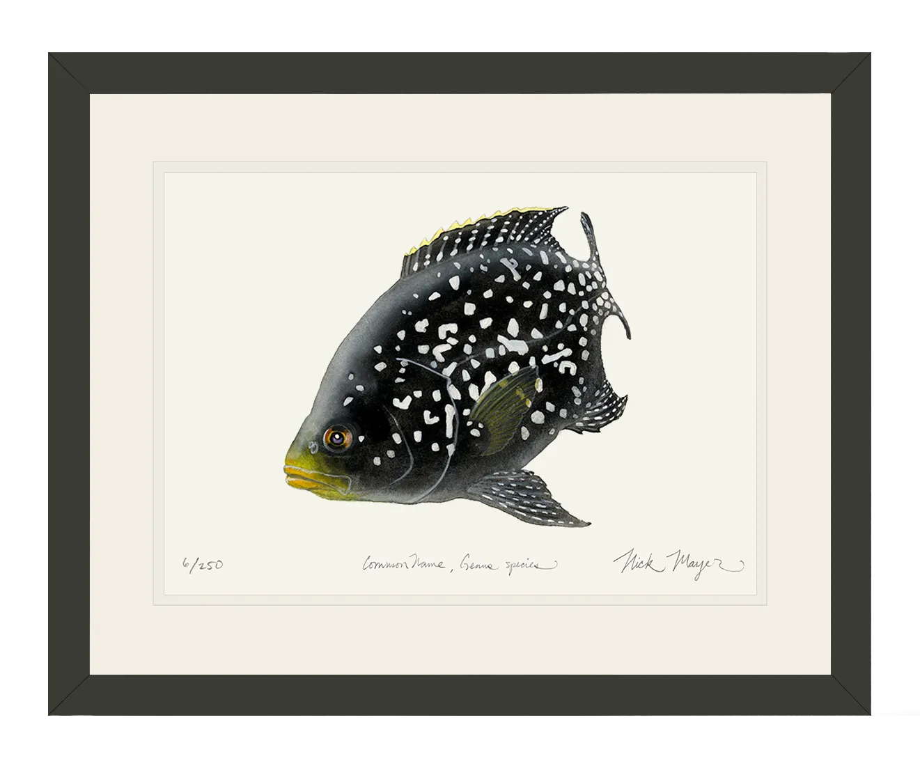 Starry Night Cichlid II Print