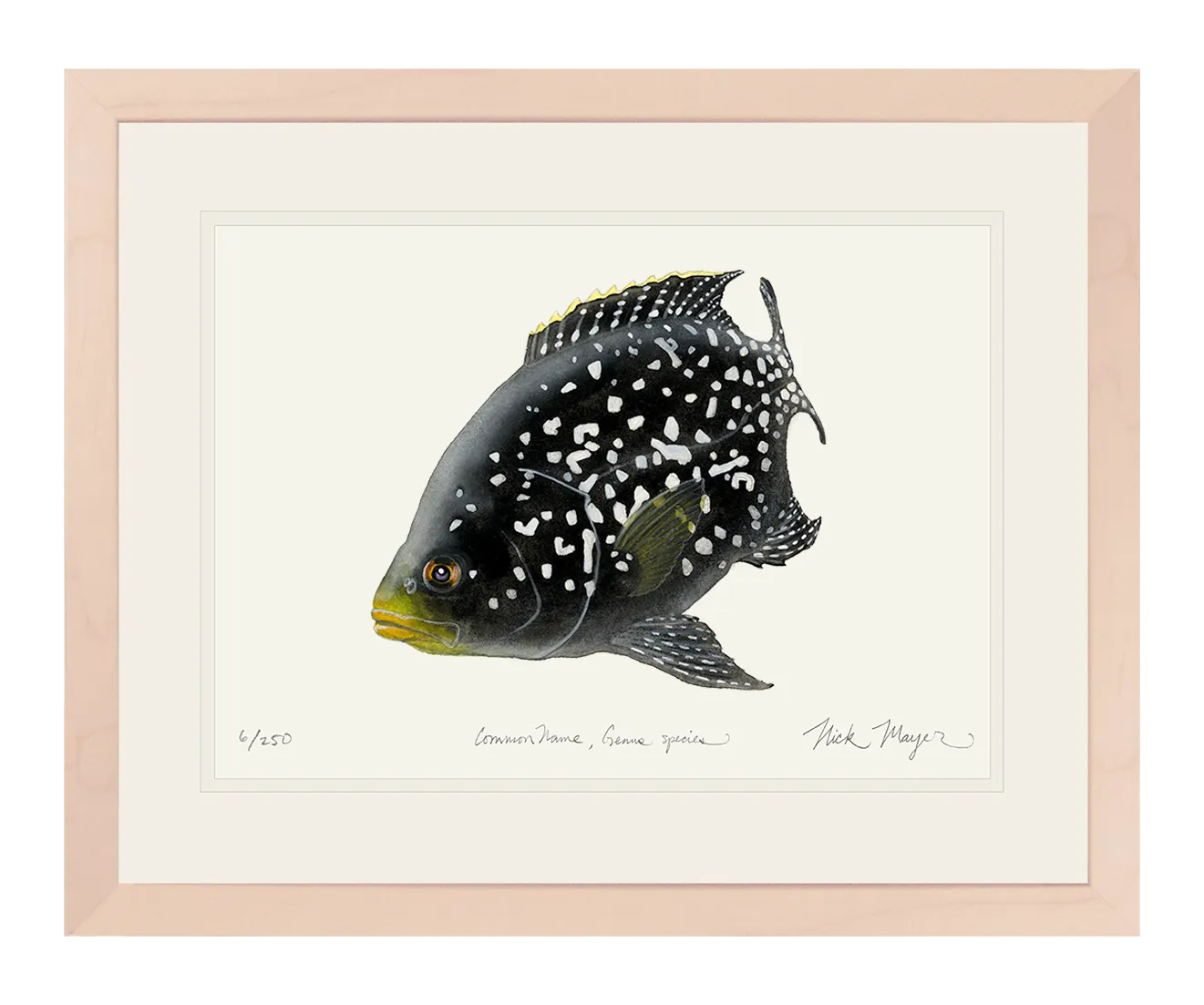 Starry Night Cichlid II Print