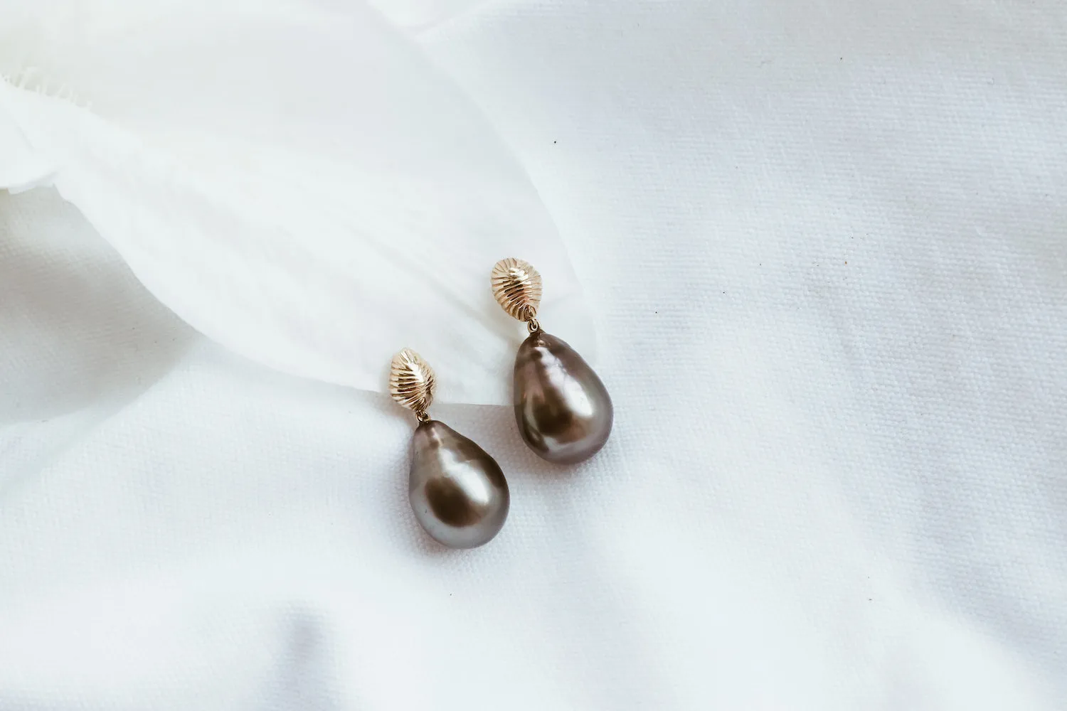 Venus Shell Earrings